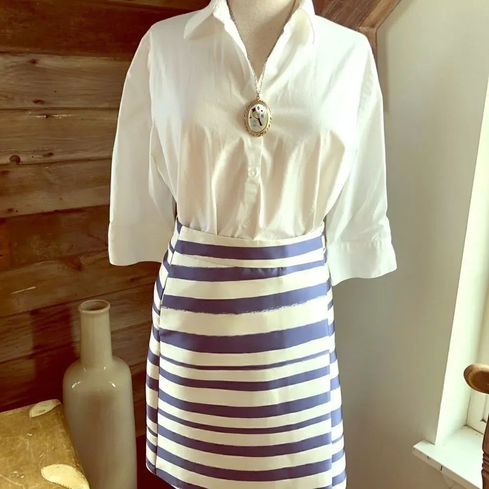 Top Shop Skirt 